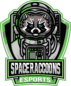 Spaceraccoons eSports