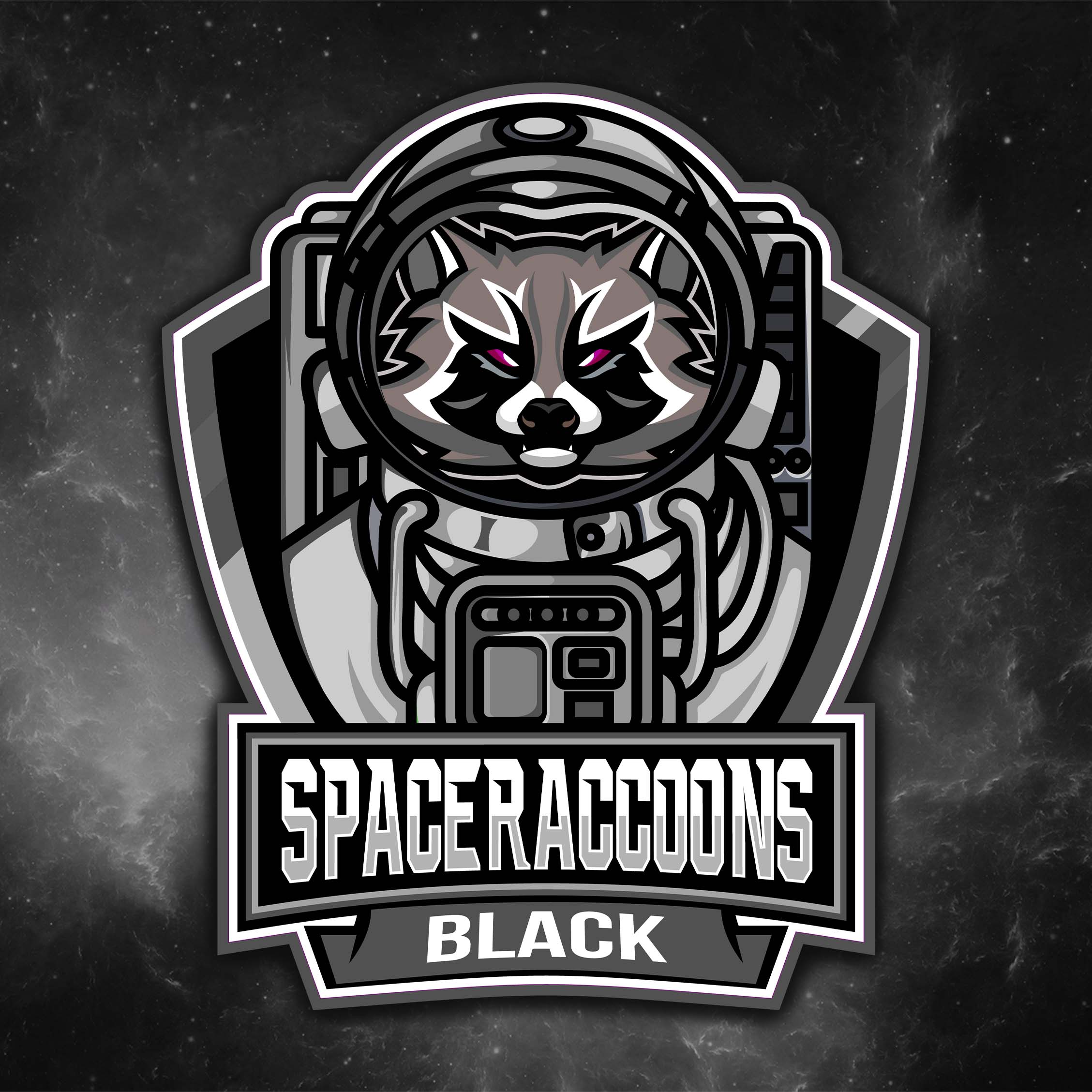 Team Black stößt zu den Spaceraccoons dazu